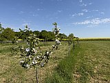 Photos du village de Silly-sur-Nied Landremont