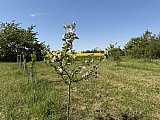 Photos du village de Silly-sur-Nied Landremont
