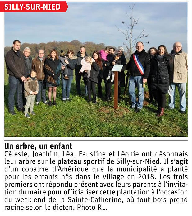 RL 2019 11 26 Un arbre un enfant