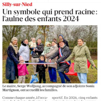 RL 11.12.2025 : Un symbole qui prend racine , l'aulne des enfants 2024